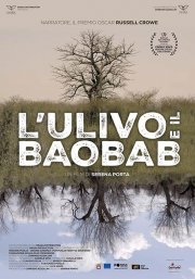 Locandina di L'ulivo e il baobab
