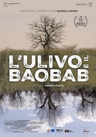 Locandina di L'ulivo e il baobab