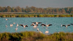 Altri Animali - Trailer del documentario