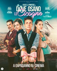 Locandina di Dove osano le cicogne