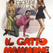Locandina di Il gatto mammone