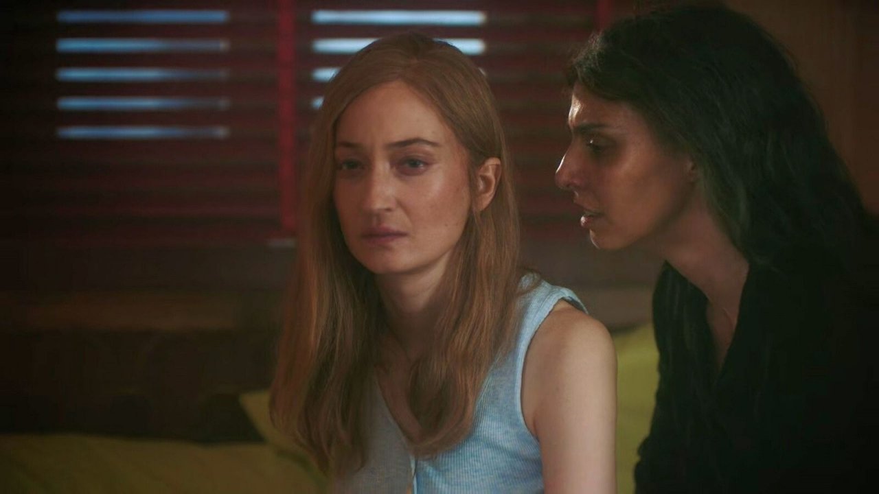 Le quattro stagioni de L'amica geniale sono ispirate ciascuna a un romanzo della serie scritta da Elena Ferrante