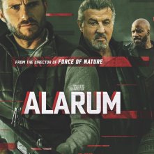 Locandina di Alarum