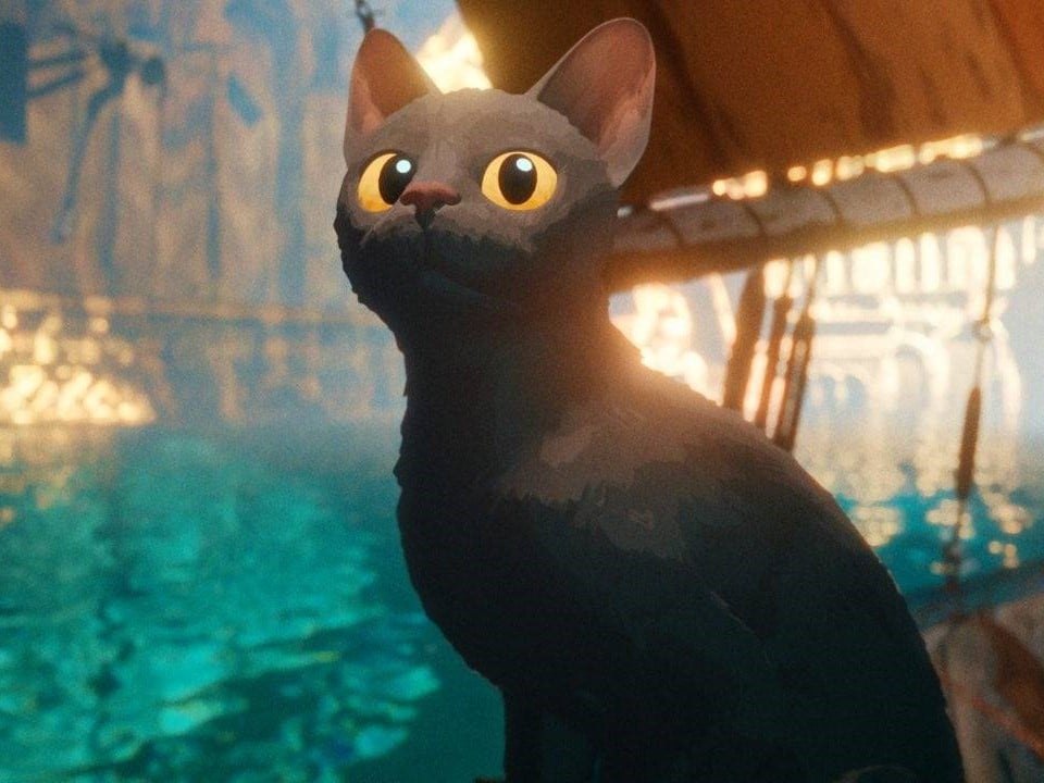 Flow, il regista parla del suo prossimo film, Limbo: "Sarà la prima volta che lavorerò coi dialoghi" Flow, il regista parla del suo prossimo film, Limbo: "Sarà la prima volta che lavorerò coi dialoghi"