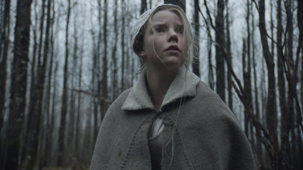chris evans anya taylor joy e il rituale tenerissimo con gli asini sul set di sacrifice da Movieplayer.it chris evans anya taylor joy e il rituale tenerissimo con gli asini sul set di sacrifice