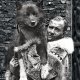 Togo fu il vero cane eroe ma la Amblin di Steven Spielberg gli preferì Balto nel film del 1995: perché?
