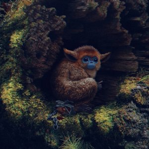 The Legend of Ochi: il piccolo ochi è intrappolato