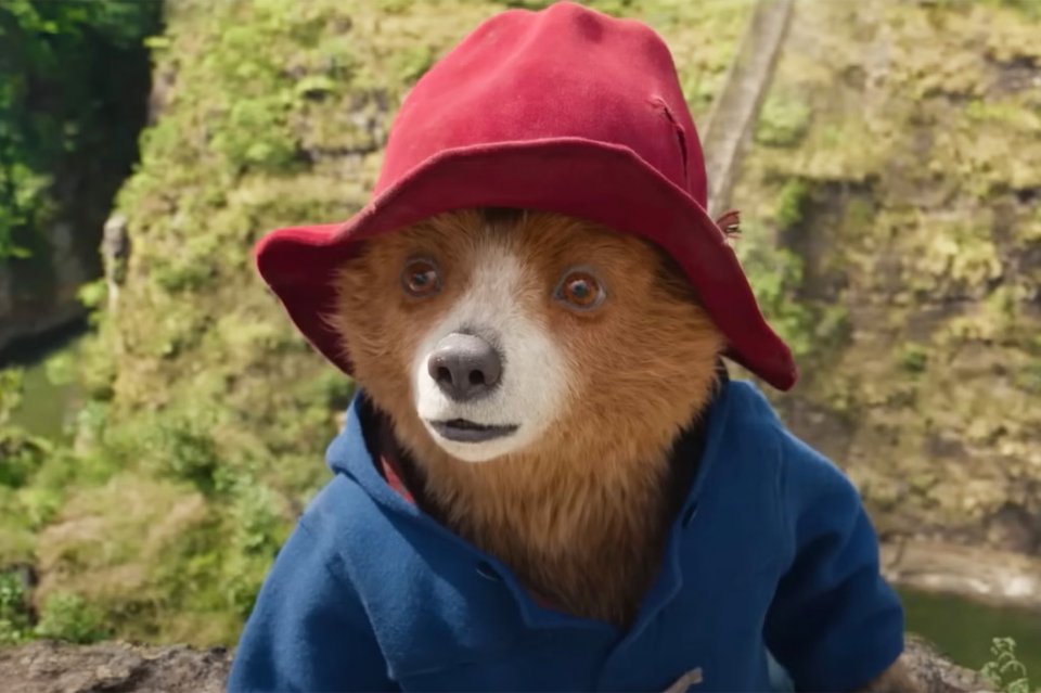 Paddington In Peru Immagine