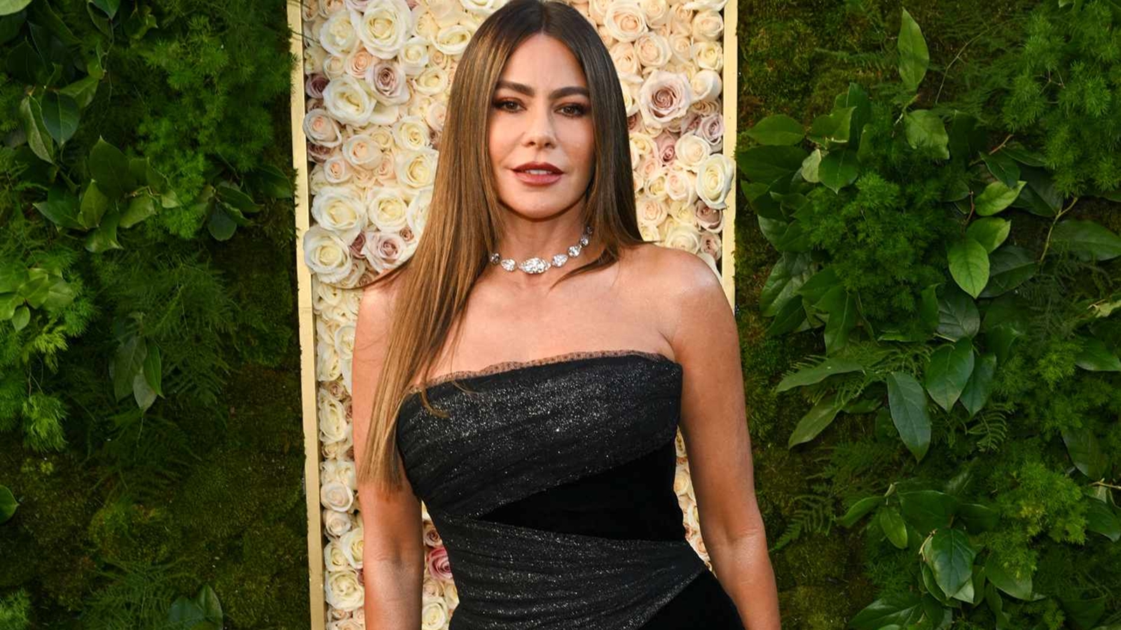 Una foto di Sofia Vergara