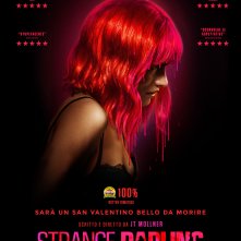 Locandina di Strange Darling