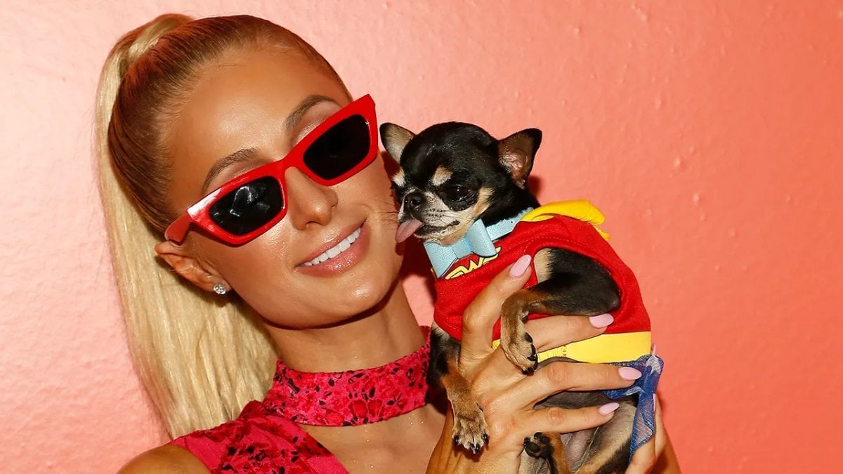 Paris Hilton volontaria al rifugio per animali durante gli incendi a Los Angeles