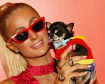 Paris Hilton volontaria al rifugio per animali durante gli incendi a Los Angeles