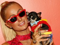 Paris Hilton volontaria al rifugio per animali durante gli incendi a Los Angeles