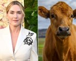Kate Winslet ha una paura più grande degli iceberg: le mucche