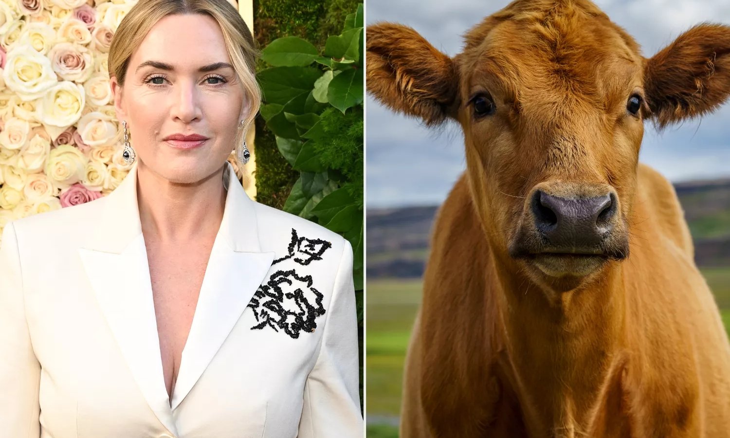 Kate Winslet, paure delle mucche