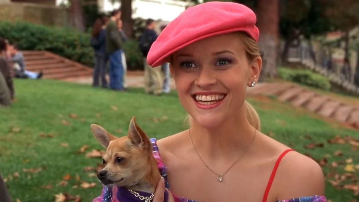 La rivincita delle bionde: Reese Witherspoon è a caccia della Elle perfetta per il prequel del film