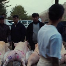 Exhuma: una scena del film