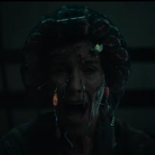 The Monkey: un'immagine inquietante