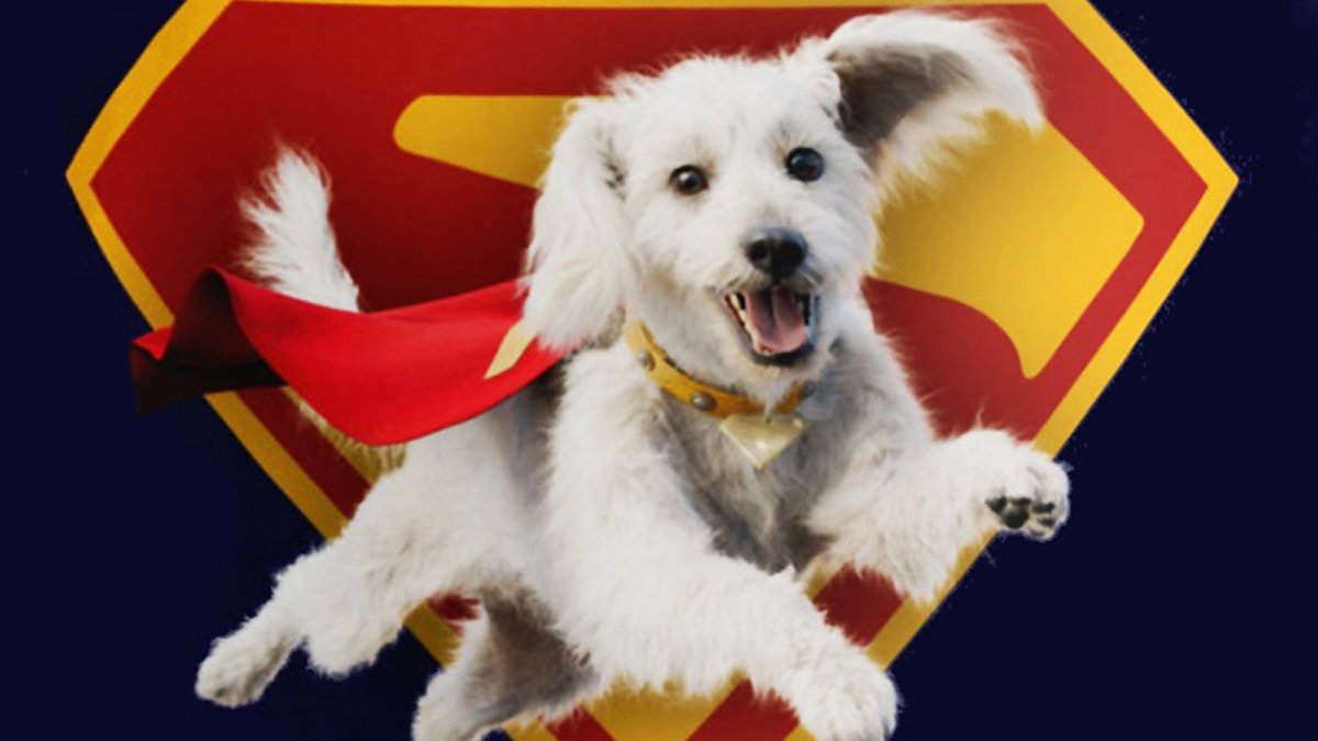 Superman promosso durante il Puppy Bowl con nuove immagini e merchandise inedito di Krypto