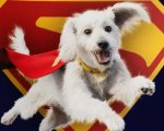 Superman promosso durante il Puppy Bowl con nuove immagini e merchandise inedito di Krypto