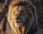 Mufasa - Il Re Leone: i preorder dell'edizione steelbook 4K (Bd 4K + Bd Hd) sono attualmente aperti su Amazon