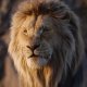 Mufasa - Il Re Leone: i preorder dell'edizione steelbook 4K (Bd 4K + Bd Hd) sono attualmente aperti su Amazon