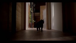 Bring Her Back - Teaser trailer dell'horror A24 con Sally Hawkins