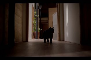 Bring Her Back - Teaser trailer dell'horror A24 con Sally Hawkins