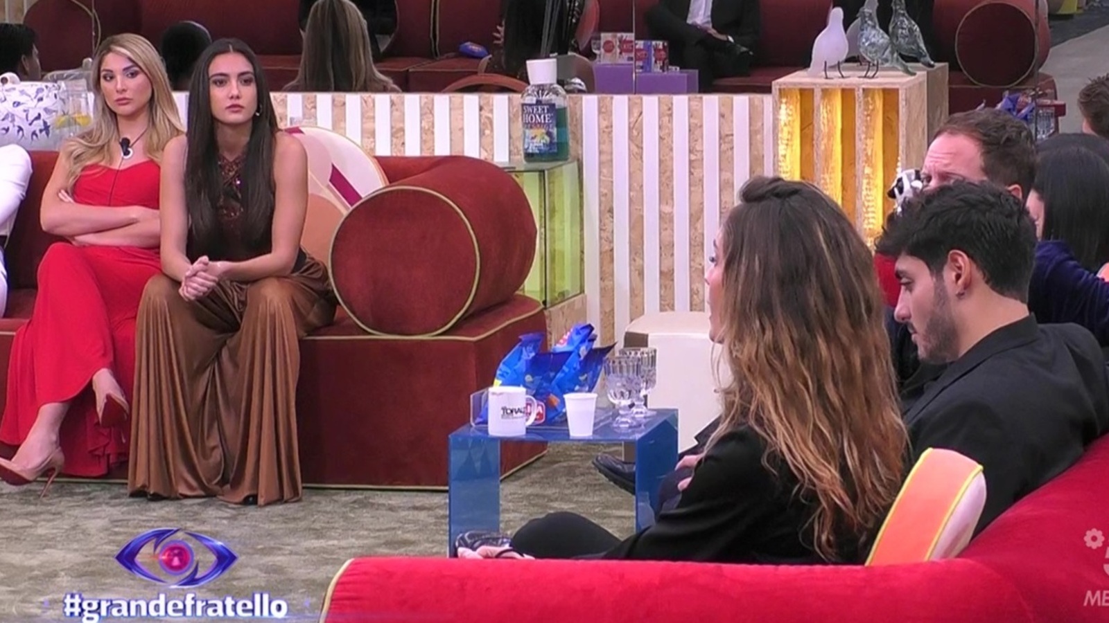 Helena Prestes e Zeudi discutono durante la diretta del 20 febbraio