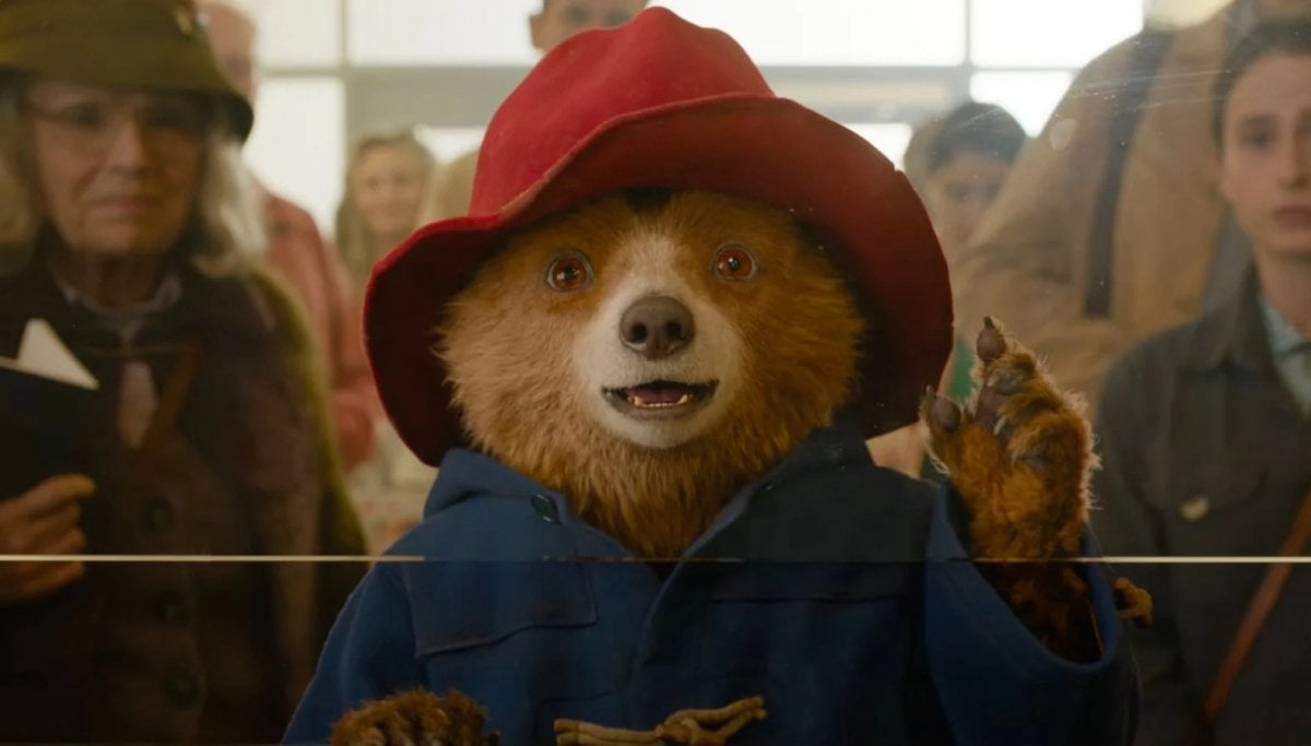 Paddington, dall’orso al cult: come è diventato un