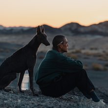 Black Dog: una sequenza del film