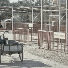 Black Dog: una foto del film