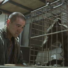 Black Dog: una scena del film diretto da Guan Hu