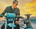 Black Dog, la recensione: due randagi e il lato negativo del progresso