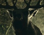 Bambi: The Reckoning, decapitazioni, sbranamenti e tanto sangue nel nuovo ztrailer dell'horror splatter