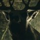 Bambi: The Reckoning, decapitazioni, sbranamenti e tanto sangue nel nuovo ztrailer dell'horror splatter