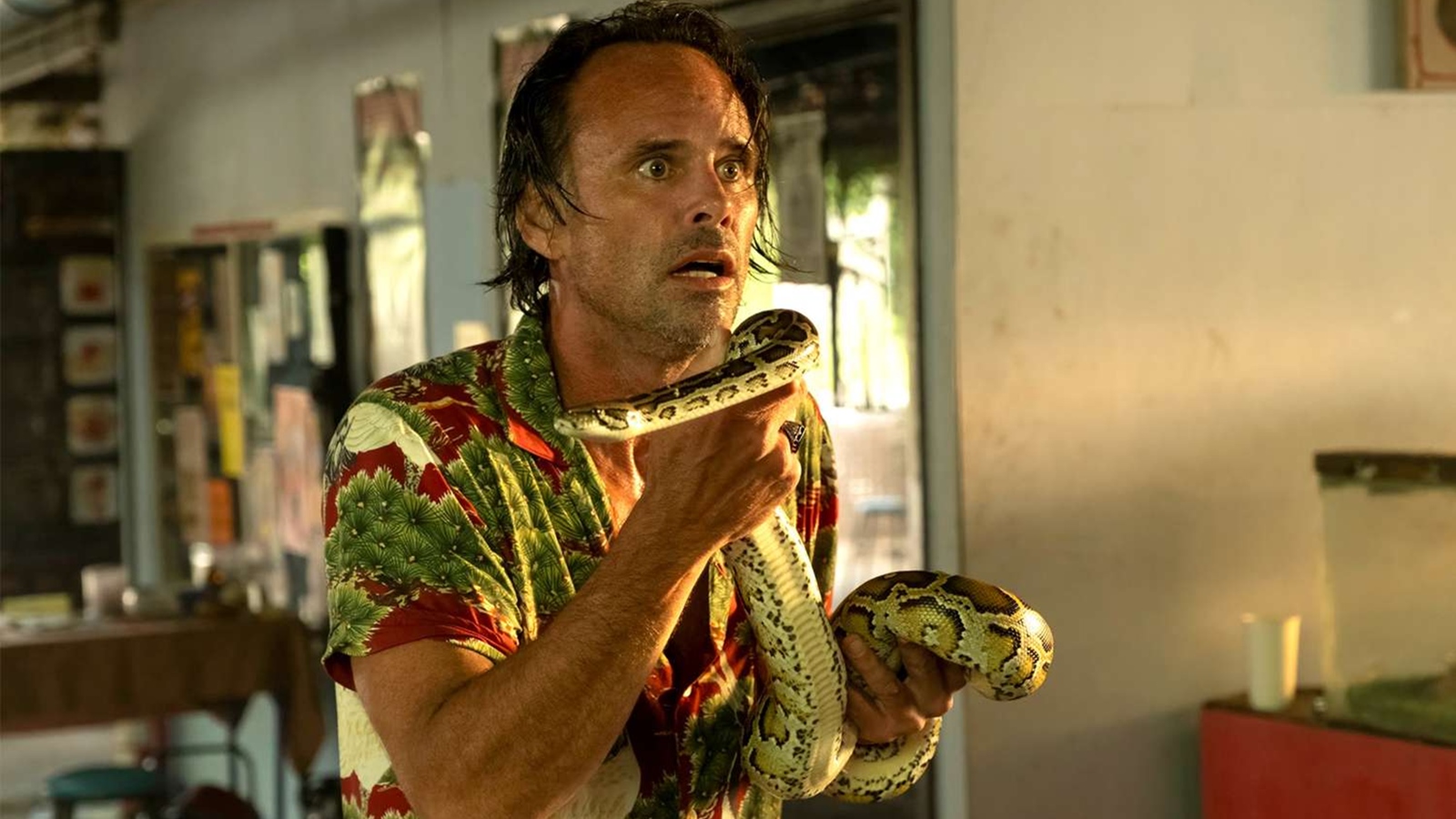 Una foto di Walton Goggins in The White Lotus