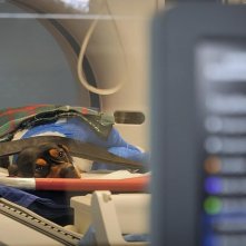 Altri animali: una scena del documentario