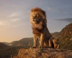 Il Re Leone: l'edizione 4K Ultra HD + Blu-Ray del film del 2019 è in offerta su Amazon