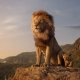 Il Re Leone: l'edizione 4K Ultra HD + Blu-Ray del film del 2019 è in offerta su Amazon