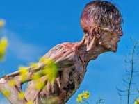 28 anni dopo: come è cambiato da prima a dopo il Covid e cosa c'entra The Last of Us