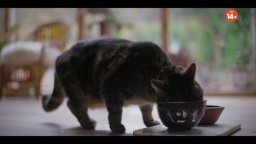 Bring Her Back - Torna da me - Teaser trailer italiano dell'horror A24 con Sally Hawkins