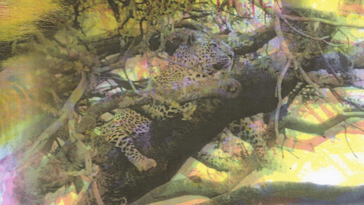 Un dettaglio del manifesto di Wolfgang Tillmans