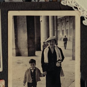 Pino: una foto d'archivio