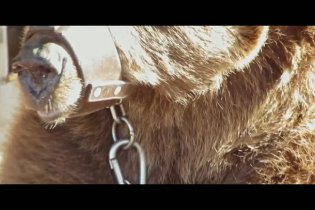 L'ultimo Spettacolo - Clip Esclusiva del documentario prodotto da LAV