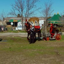L'ultimo spettacolo: gli animali del Circo Martin