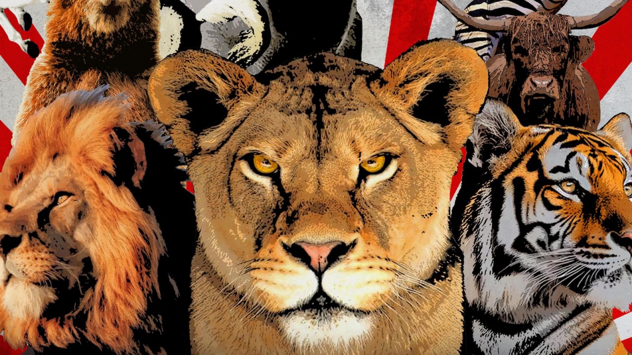 Un immagine de L’ultimo spettacolo