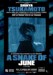 Locandina di A Snake of June