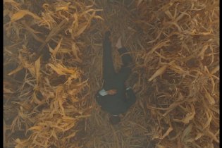 La Trama Fenicia - Trailer italiano del film di Wes Anderson con Benicio Del Toro e Scarlett Johansson