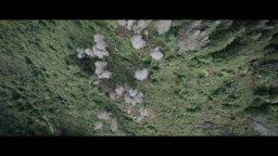 Il codice del bosco - Trailer del documentario